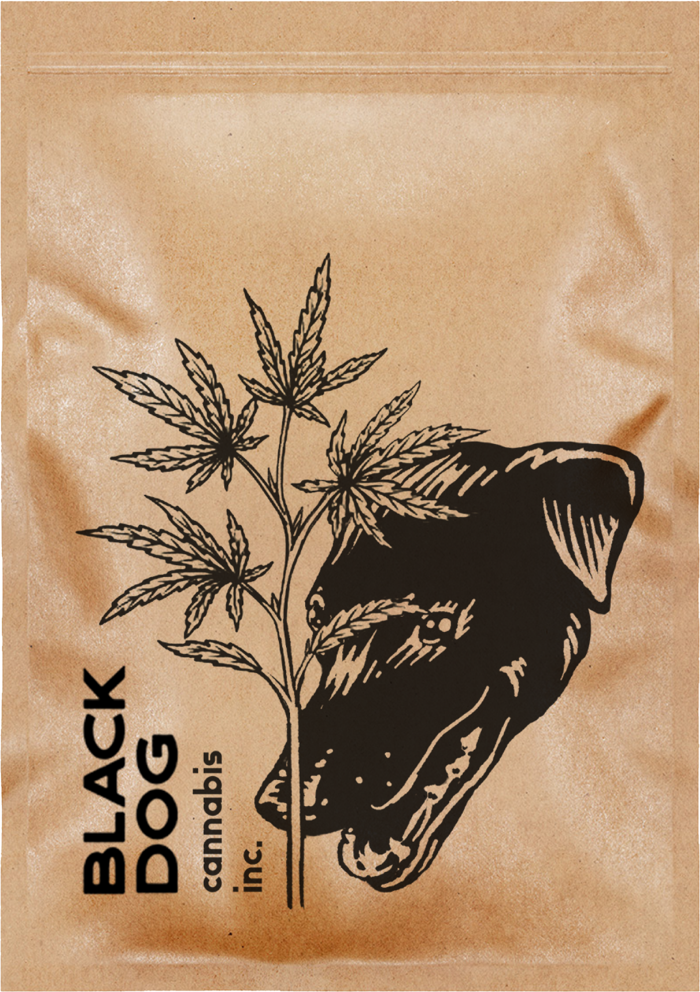 BAg 2