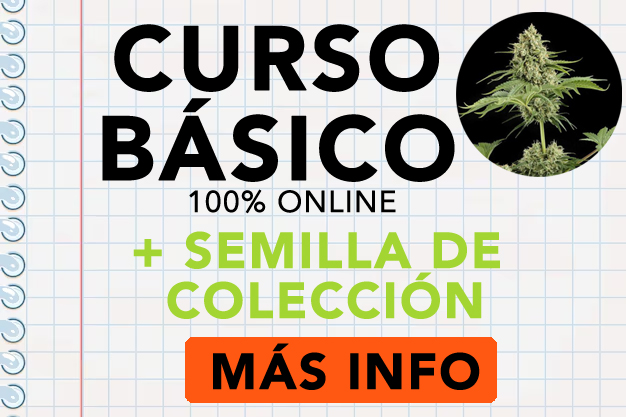 Curso Banner